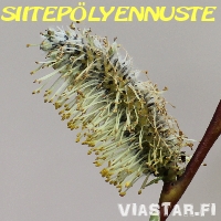 Siitepölytiedote, siitepölytilanne tänään.