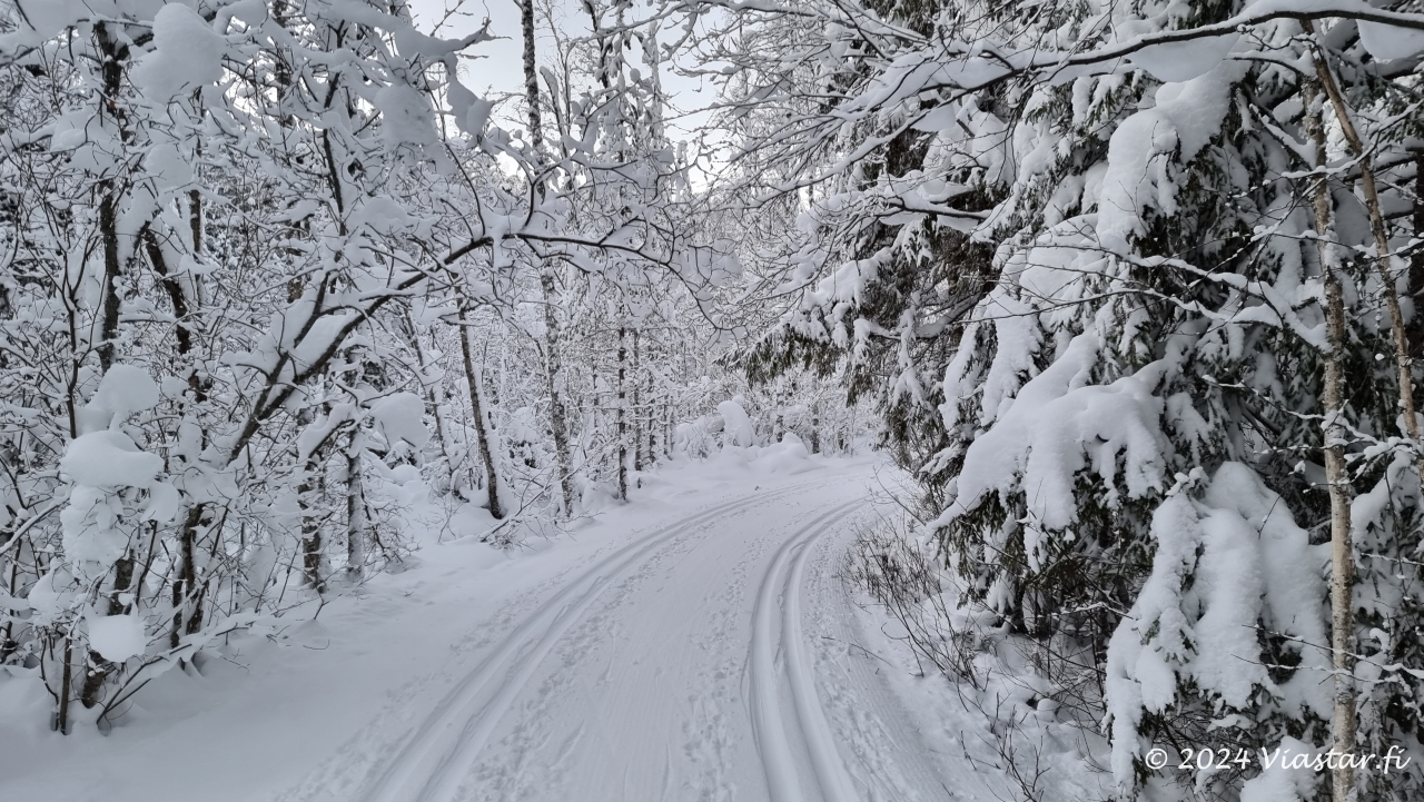 Testament, forest, nature, preserve. Nature conservation. Testament, forest, nature, preserve